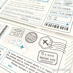 INV-ORIGINAL-AVION-1